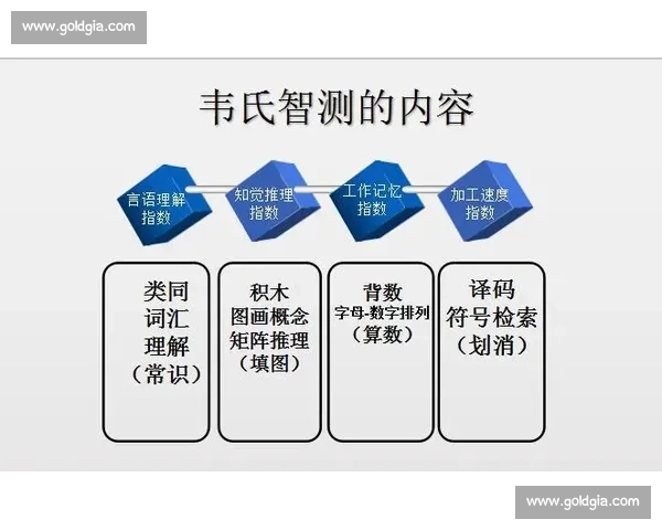 基于注意力集机制的人类认知加工路径与信息筛选效率优化研究