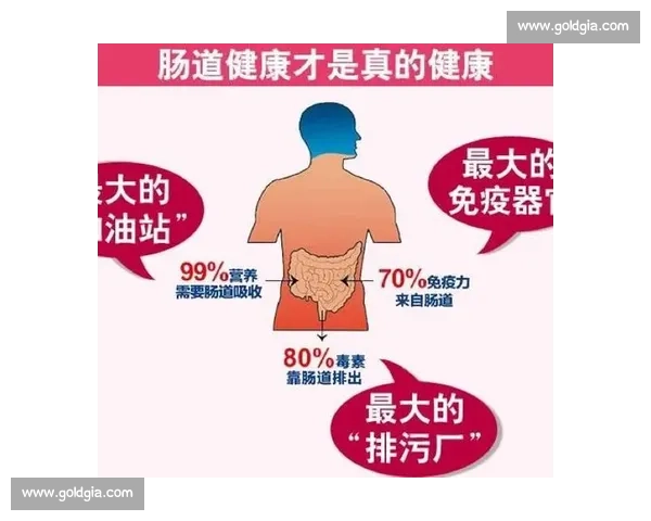 打造科学饮食与规律作息的健康生活方式全面指南