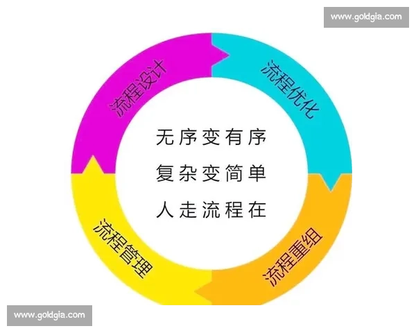 围绕动作规范构建高效执行体系与标准化流程优化实践探索
