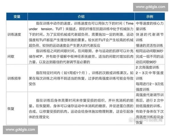 体育科学视角下运动表现优化与人体机能提升研究 体育科学视角下运动表现优化与人体机能提升研究